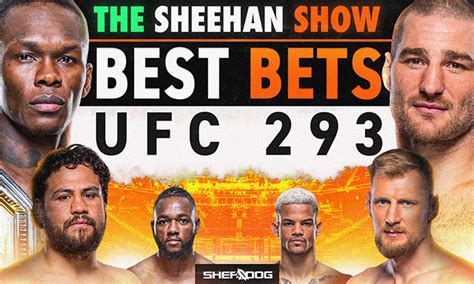 mma mania best bets|UFC 293 Odds, Under Dogs And Best Bets! .